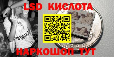 шишки Можга