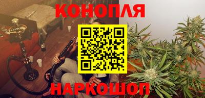 шишки Можга