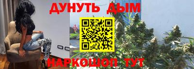 шишки Можга