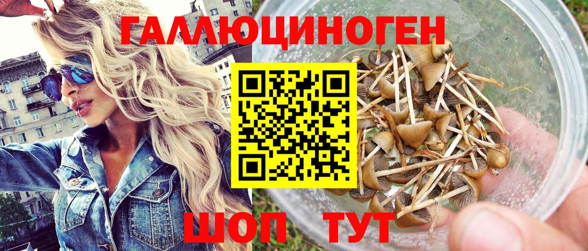 Галлюциногенные грибы Cubensis Татарск