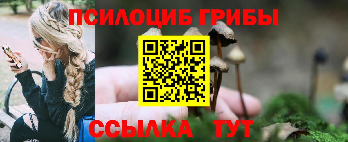 Татарск  Галлюциногенные грибы GOLDEN TEACHER  Вход с VPN 